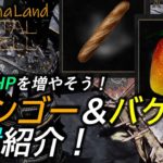 [モータルシェル]ゲーム攻略:マンゴー&バゲットの取り方 HPを増やすレアアイテム[致命軀殼Mortal Shell Mango&Baguette’s Location ]