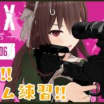 【APEX/エイペックス】今日からシルバー帯！ひよっこエイム練習🐣【ゲーム実況】八重沢なとり VTuber