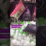 鬼滅の刃・クレーンゲーム【裏技・ディスプレイ狙い・UFOキャッチャー】