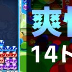 【vsりべ】お値段異常【ぷよぷよeスポーツ】