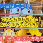 【クレーンゲーム】大人気ぬいぐるみ景品攻略！！確率以外の取り方とは！？（UFOキャッチャー、コツ、攻略、鬼滅の刃、きめつのやいば、ドラゴンボール、ポケモン）