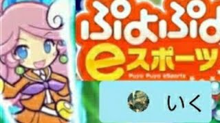 【ぷよぷよeスポーツ　vsしばかず】　ぷよぷよフィーバー　しばかずさんと対戦