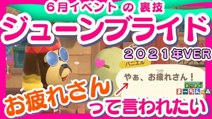 【あつ森】裏技！ウエディングイベント『パニーの島』お疲れさんとパニエルに言ってもらう裏技！６月イベント【ジューンブライド2021】