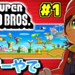 DSの「Newスーパーマリオブラザーズ」全隠しゴール攻略します Part１【New Super Mario Bros.DS】