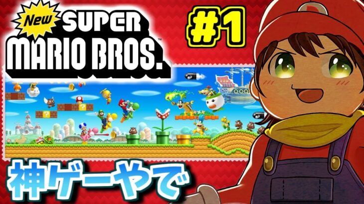 Dsの Newスーパーマリオブラザーズ 全隠しゴール攻略します Part１ New Super Mario Bros Ds Game動画まとめch