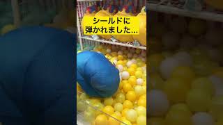 クレーンゲーム　再度投げ技に挑戦。ただ…つかみ技でいっぽーん！#Shorts