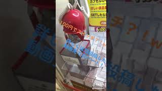 国産得価 バンビーノ かえ様専用 2袋の通販 by ももなおとも's shop