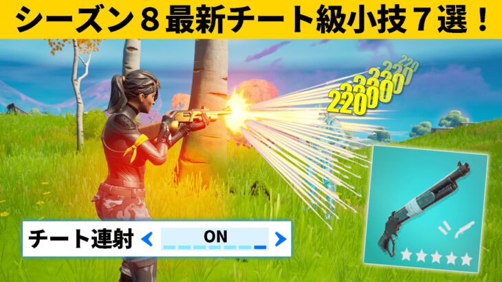 小技集 １秒に６発ショットガンを撃てるがチート設定を知ってますか シーズン８最強バグ小技裏技集 Fortnite フォートナイト Game動画まとめch