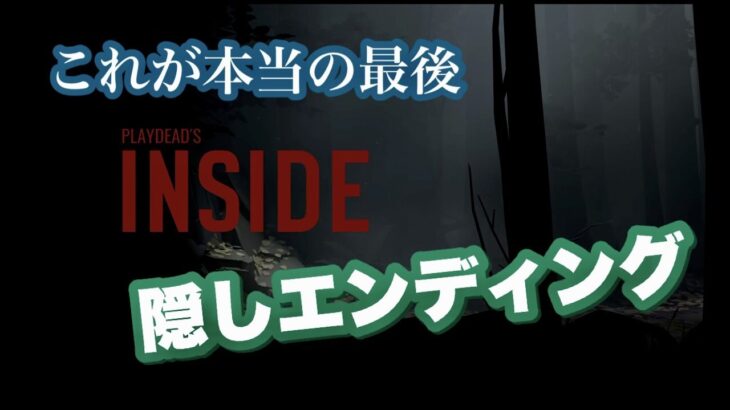 INSIDE 隠しエンディング攻略！  超鬱ゲー 【ホラーアドベンチャーゲーム】女性配信者