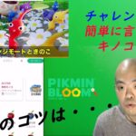 【位置情報ゲーム】Pikmin Bloom（ピクミン ブルーム）【レベル15より開放！チャレンジ！説明！！】