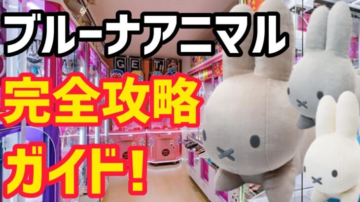 【クレーンゲーム】ブルーナアニマル完全攻略!!大人気企画、待望のうさぎ狩り!!　＃クレーンゲーム　＃UFOキャッチャー　＃ミッフィー