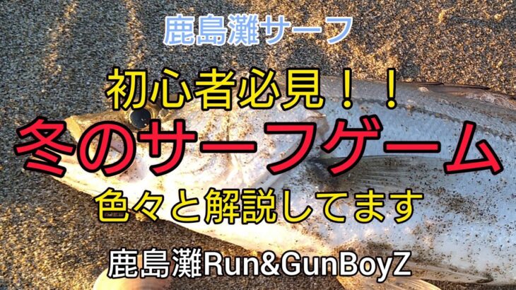 【サーフヒラメ】初心者必見！！冬のサーフゲーム攻略【鹿島灘サーフ】