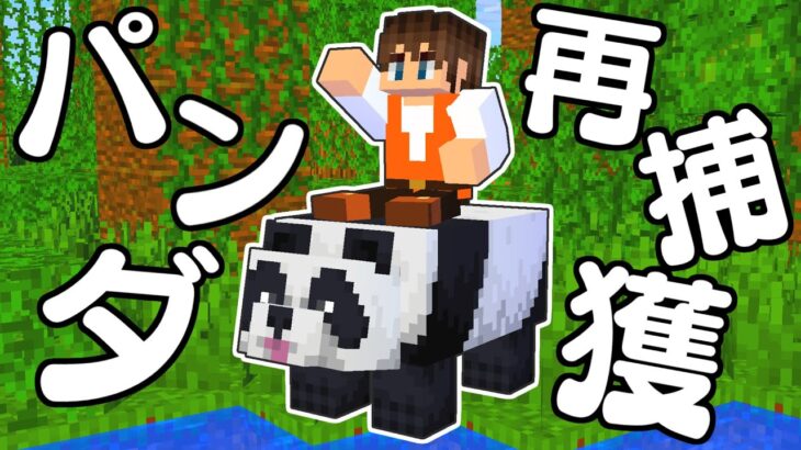 消えたパンダを取り戻せ どうやってジャングルから連れてくる マイクラ実況part455 マインクラフト Game動画まとめch