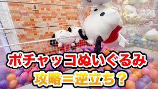 ポチャッコのぬいぐるみを攻略 クレーンゲーム UFOキャッチャー