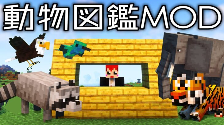 【動物図鑑MOD】1人作業ライブ【赤髪のとも/マインクラフト】