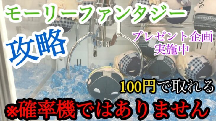 【クレーンゲーム攻略】モーリーファンタジーで100円でぬいぐるみを取る方法