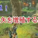 【ゼルダの伝説Botw】木の矢を増殖する裏技