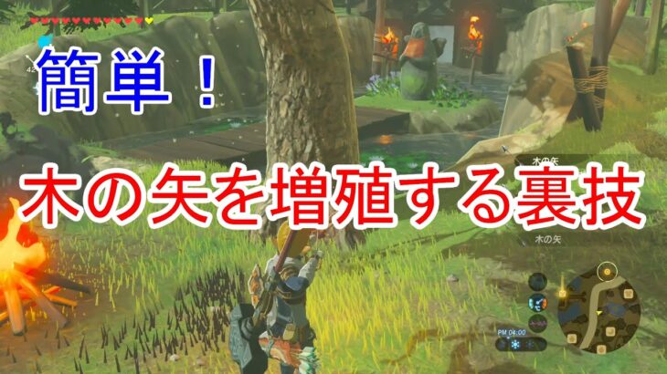 【ゼルダの伝説Botw】木の矢を増殖する裏技