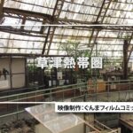 GUNMA Movie Location Guide「草津熱帯園」｜eスポーツ・新コンテンツ創出課｜群馬県