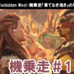 ホライゾン フォービドゥンウエスト：機乗走『果てなき渇き』の攻略動画【Horizon Forbidden West】