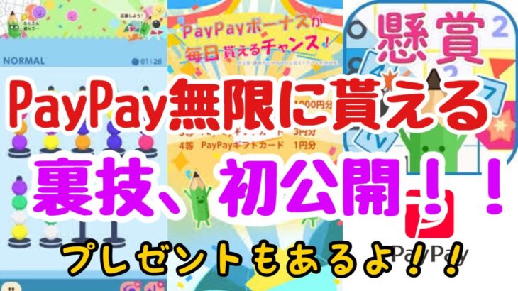 【ついにPayPay長者！？】毎日絶対PayPay貰える懸賞ゲームで裏技見つけました。