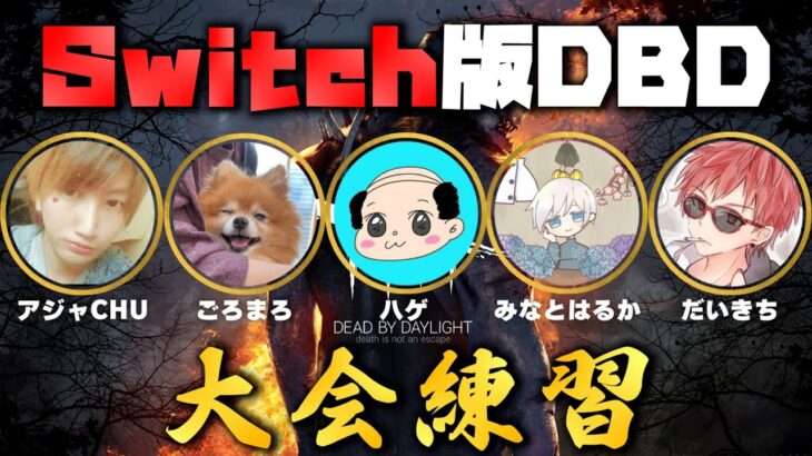 【DBD】 DBDcup大会練習 / スカルプフォース / 【SWITCH版】【ゲーム実況】#471