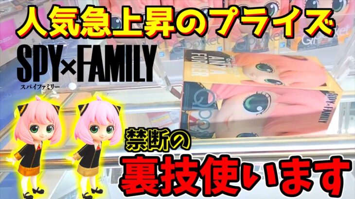 【 SPY×FAMILY 】人気急上昇中のアーニャQposketを裏技を使って獲ります【クレーンゲーム】