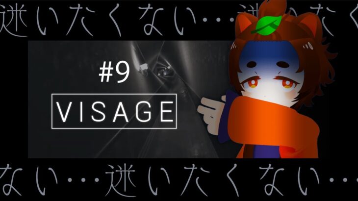 【Visage】鏡よ鏡、サクサク攻略させてください#9【ホラーゲーム実況シリーズ】