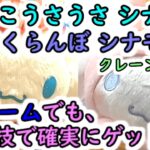 【クレーンゲーム 弱アームでもこの技で確実にゲット！】サンリオ  こうさうさシナモンぬいぐるみ と さくらんぼパーラーシナモンぬいぐるみ