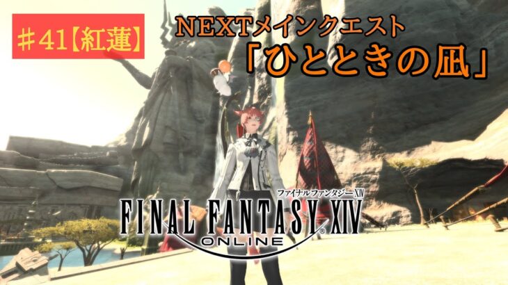 【ゲーム実況】『FF14』Part.41※ネタバレ注意【紅蓮メインクエ】