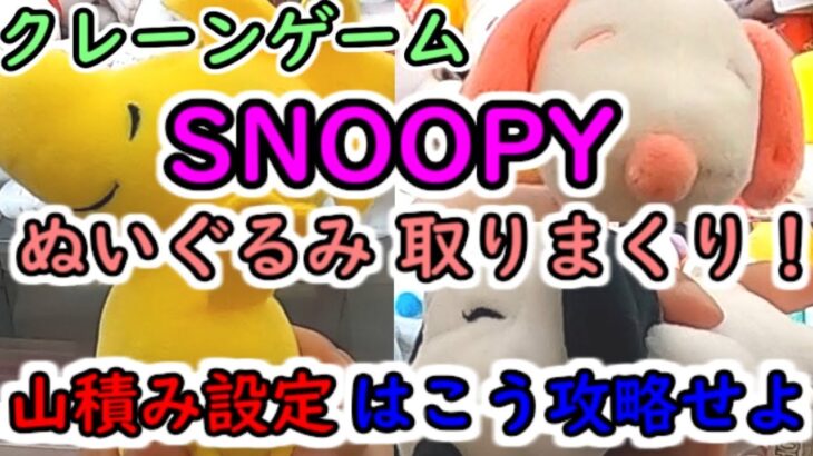 【スヌーピーぬいぐるみ取りまくり！】クレーンゲーム 山積み設定はこう攻略せよ！（SNOOPY）