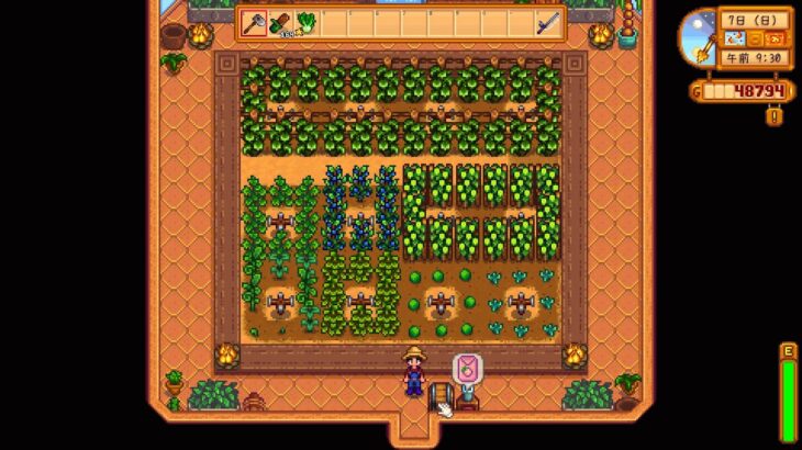 【Stardew Valley】Stardew Valleyゲーム実況(2年目秋)