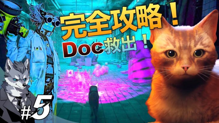 【最新猫ちゃんゲームStray完全攻略】#5 デッドエンド『Doc救出』【銀狼ケモVtuberラバルルのゲーム実況】