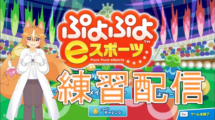 【ぷよぷよeスポーツ】初心者ワンコの連鎖練習！【戌井アキ】