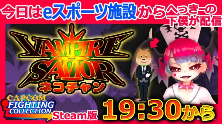 eスポーツCAFEからへっきーの下僕がお送り！steam版ファイコレでヴァンパイアセイヴァー生配信『ネコチャン』今日は初心者歓迎3本立て！