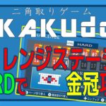 『二角取りゲーム NIKAKUdori』攻略　CHALLENGEステージ　HARD 14