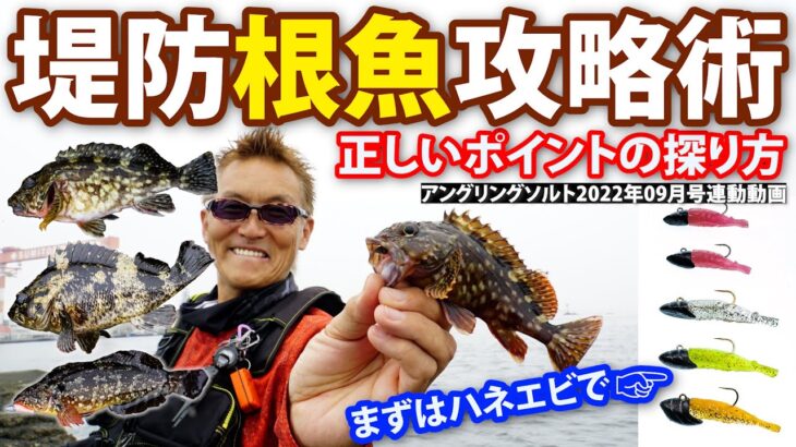 【根魚ライトゲーム／ROCKFISH LIGHT GAME】堤防根魚攻略術・正しいポイントの探り方～村上晴彦（むらかみ・はるひこ）