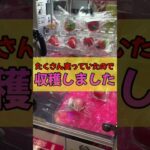 密猟は犯罪です #ufoキャッチャー #クレーンゲーム #clawmachine #攻略 #コツ #shorts