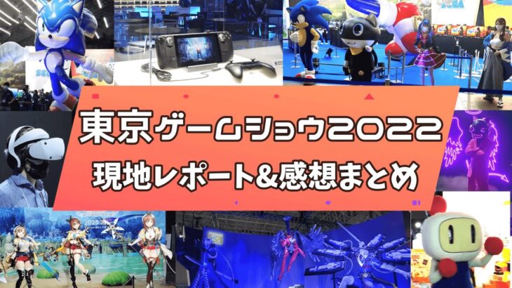 東京ゲームショウ2022現地レポート&最新情報まとめ！３年ぶりのリアル開催が最高すぎた！【TGS2022ビジネスデイ】