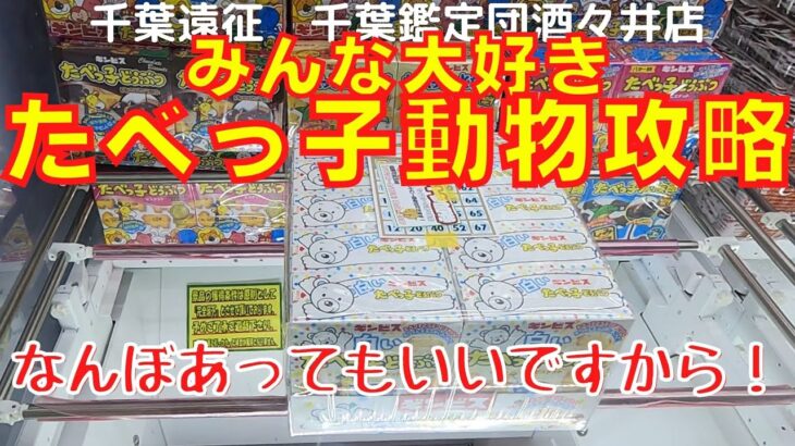 【クレーンゲーム】みんな大好きたべっ子どうぶつ攻略しました！これでお菓子たくさん食べられます！お菓子も楽しく取れました！たべっ子動物【ufoキャッチャー攻略】