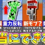 【マイクラ】１００％できるスゴい裏技を検証してみた結果！？衝撃のバグ裏技＆小ネタ７選【まいくら・マインクラフト】