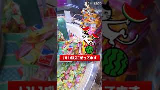 【ゲームセンター スイートランド 】クレーンゲーム攻略 お菓子タワー崩壊！大量ゲットなるかっ！？ 06 #ビスコ #すみっコぐらし #Shorts