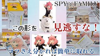 【クレーンゲーム】SPY×FAMILYプライズ景品 この形を見逃すな！攻略法教えます