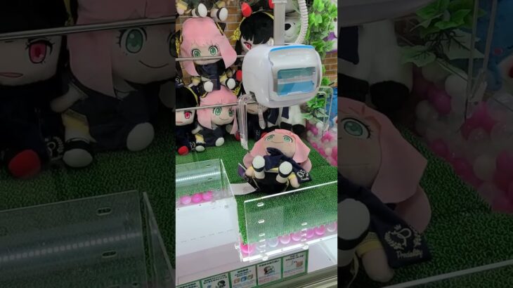 【チート級!?】アーニャ超デカぬいぐるみを簡単に取れる裏ワザ？しかし思わぬ展開が…！UFOキャッチャー完全裏ワザ！　＃Shorts