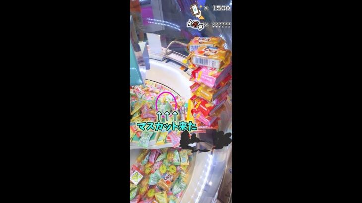 【ゲームセンター スイートランド 】クレーンゲーム攻略 お菓子タワー崩壊！大量ゲットなるかっ！？ 08 #ビスコ #すみっコぐらし #Shorts