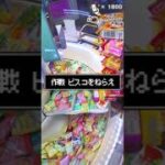【ゲームセンター スイートランド 】クレーンゲーム攻略 お菓子タワー崩壊！大量ゲットなるかっ！？ 10 #ビスコ #すみっコぐらし #Shorts YouTube