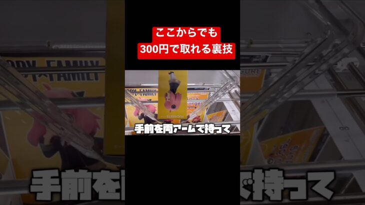 【アーニャ】を300円でとるクレーンゲーム裏技！