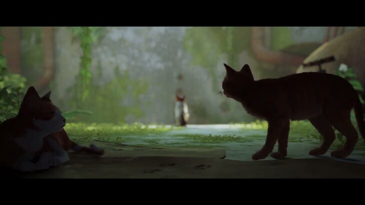 【ゲーム攻略】猫が作ったと言っても過言ではないゲーム「STRAY」