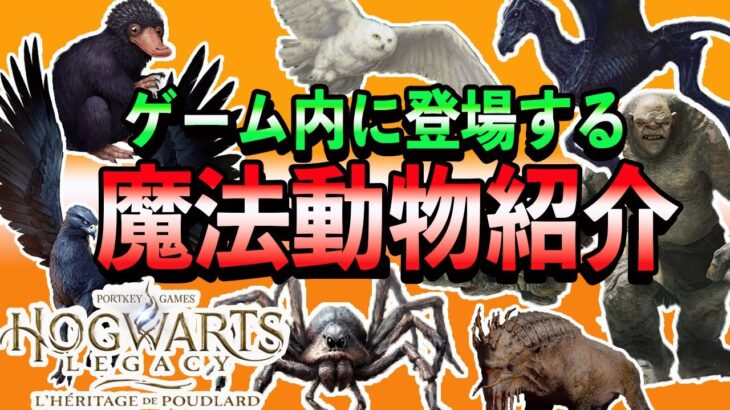 【ホグワーツレガシー】最新情報！ゲーム内に登場する魔法動物を徹底紹介＆映画情報を交えながら実況プレイ解説！【Hogwarts Legacy】