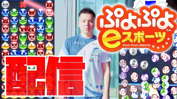 食いすぎても納得する連鎖を組む【ぷよぷよeスポーツ】